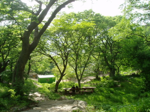 national park forest land in south korea