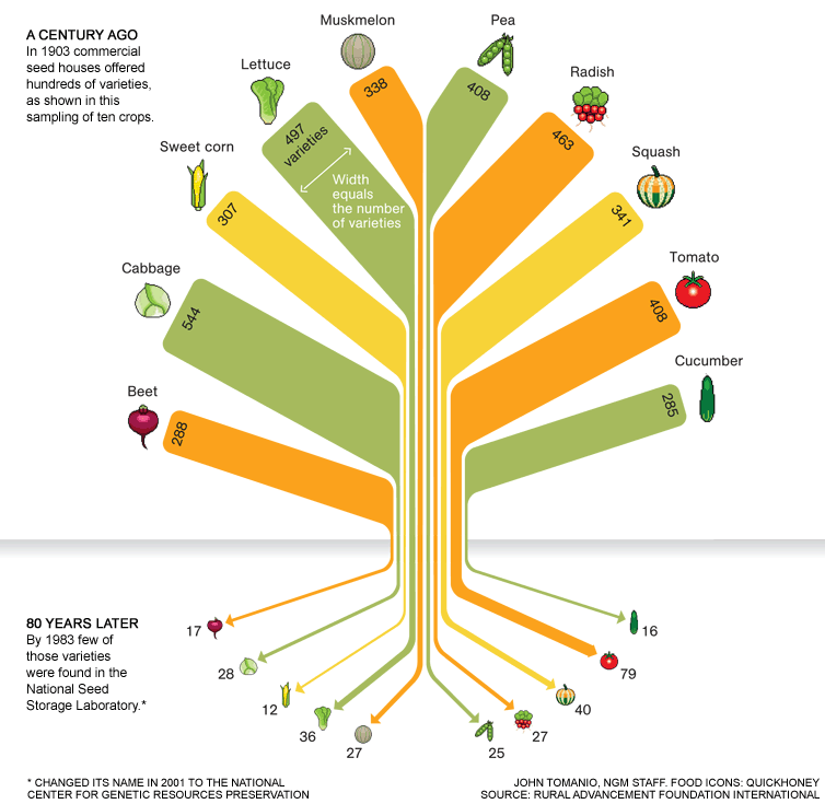 food biodiversity