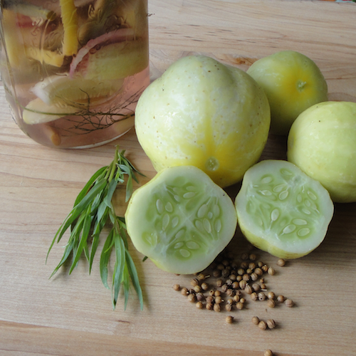 Lemon cucumber refrigerator pickles
