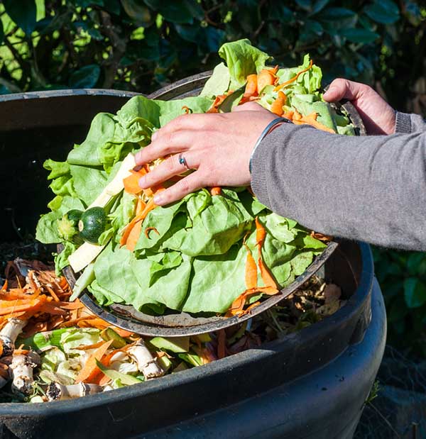 We know that collecting food scraps in a kitchen composter is a good idea, but what happens after you've gathered all of that food waste?