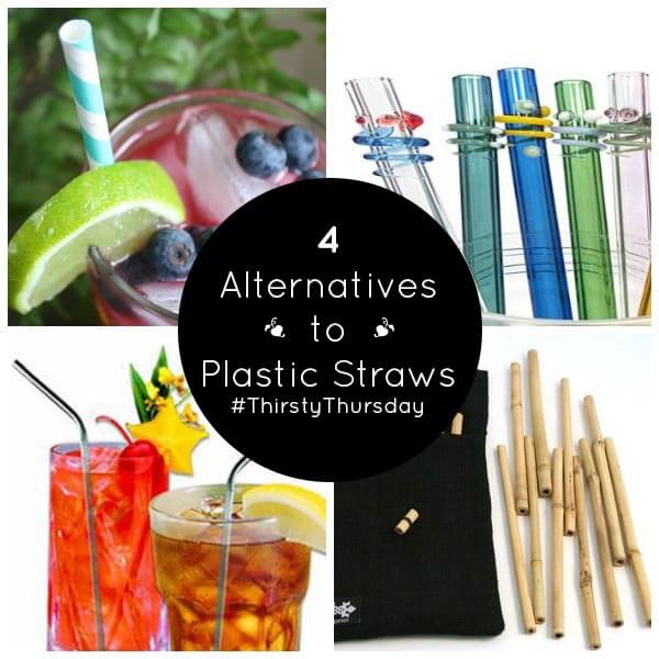 Image result for alternatives to plastic straws
