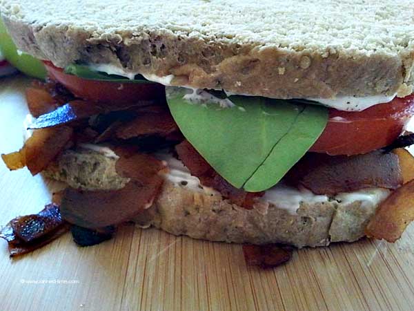 10 Delicious Vegan Sandwiches for Back to School