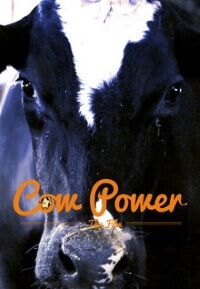 cow power
