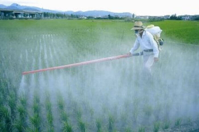 chemical fertilizer polution