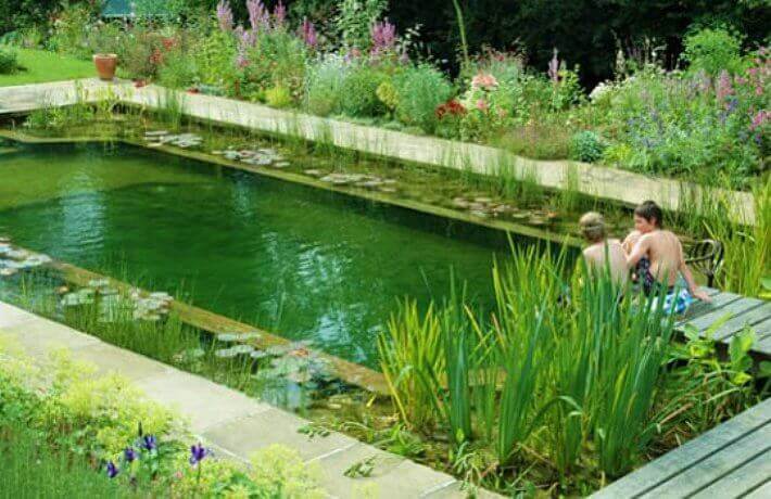 Natural Pools Or Swimming Ponds • Insteading