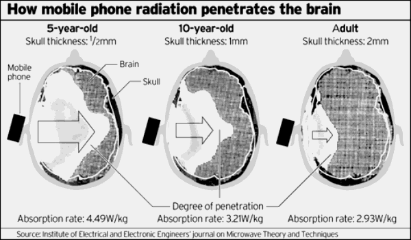 radiation penetration from phone