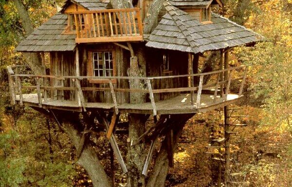 Tree Houses! From The Past Into The Future • Insteading