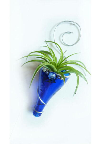 Air plant holder -Recycled bottle sconce - Blue with Silver and beads