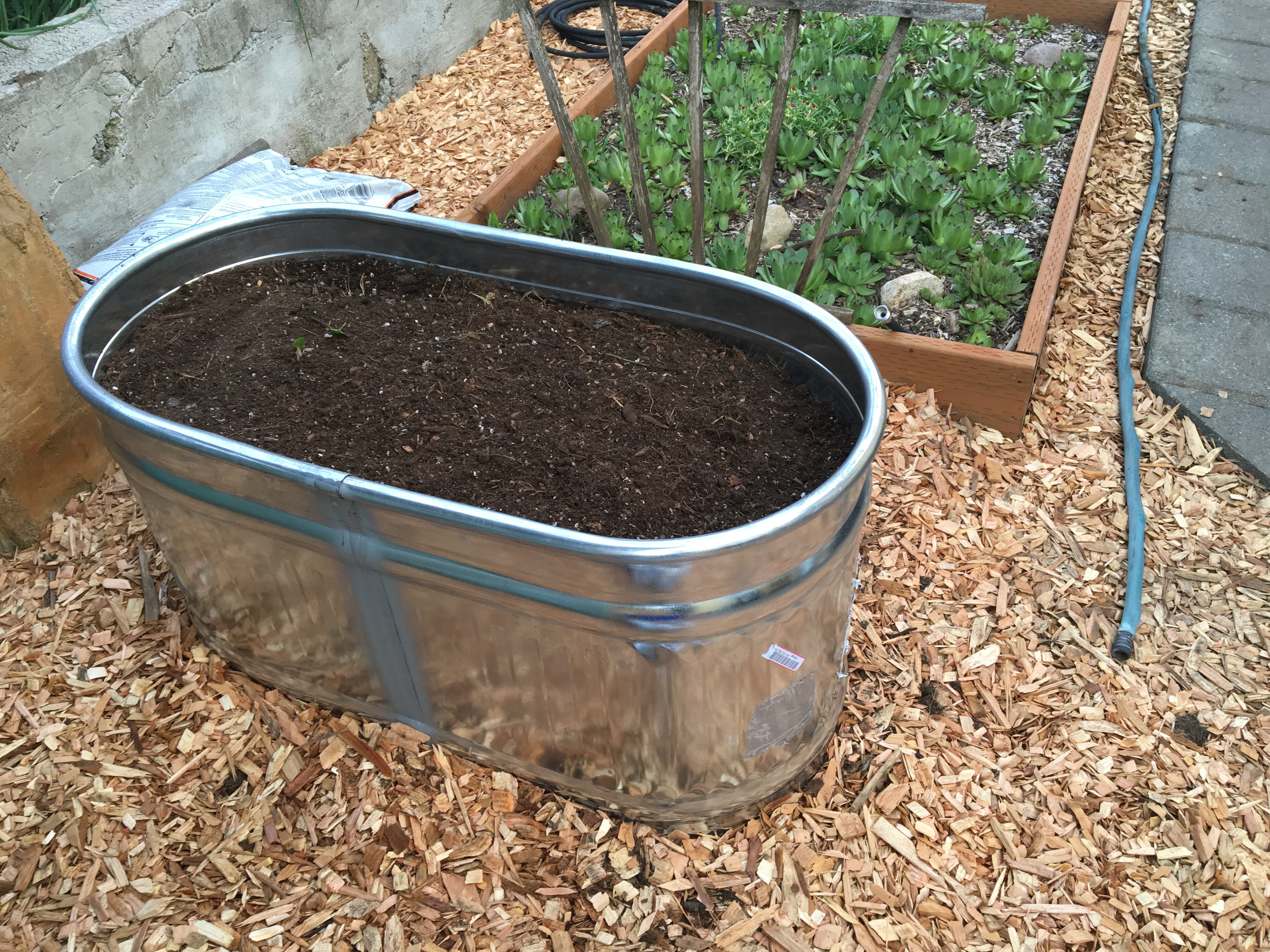 galvanized-water-trough-plater-with-soil