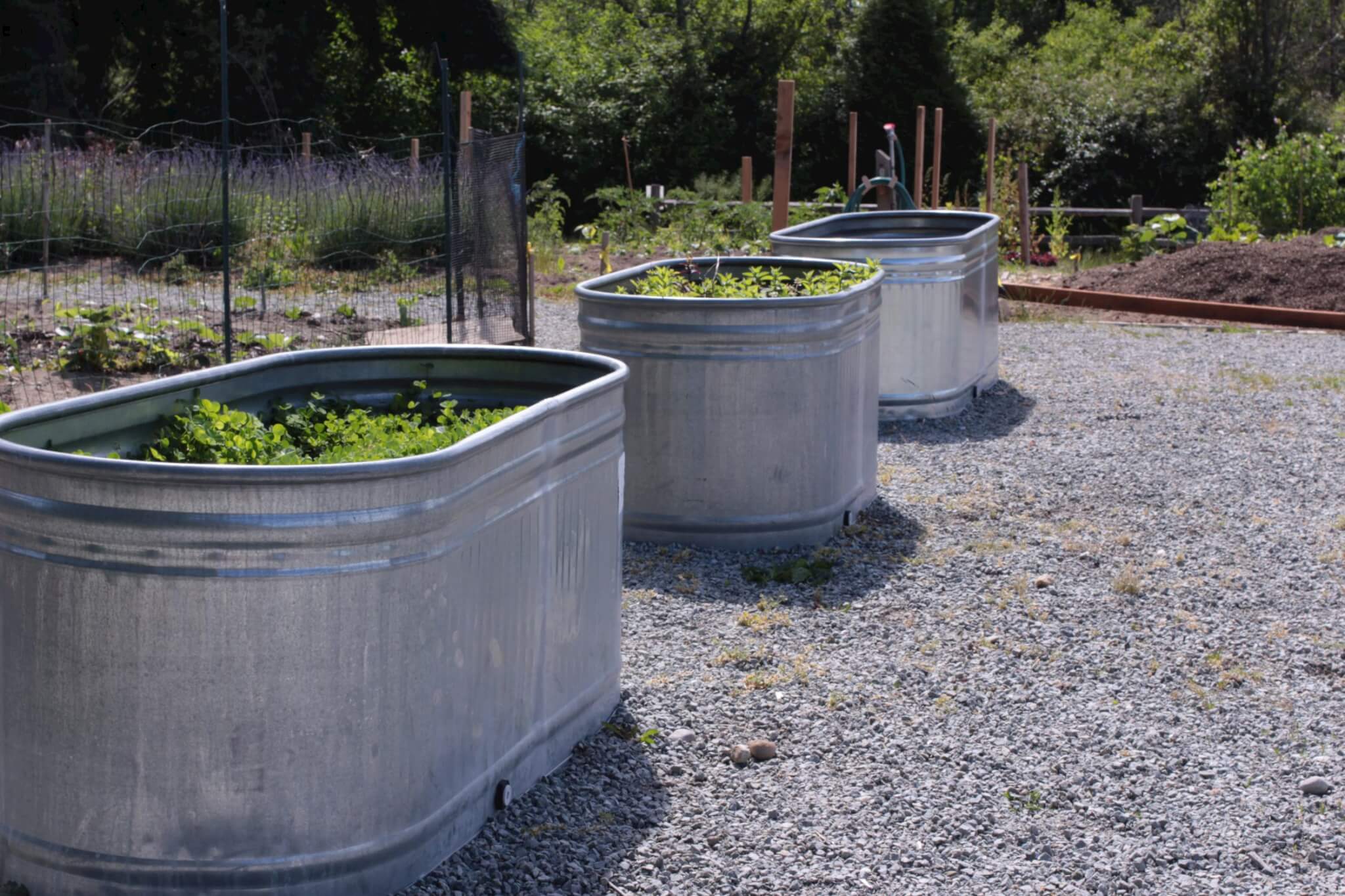 3 troughs in a row. Not much going on with the plants in these, but the placement looks great. Photo by Kane Jamison.