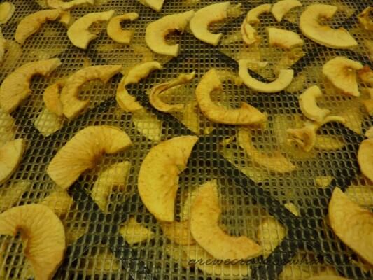 dehydrating apples on a tray
