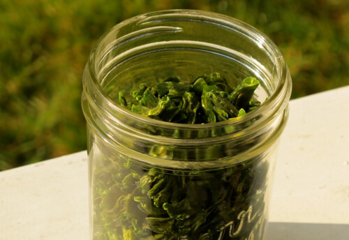 dehydrator recipes: dehydrated green beans in a jar