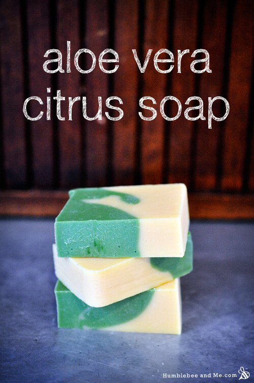 Aloe Vera Citrus Soap