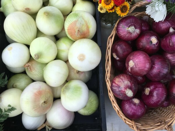 red-white-onions