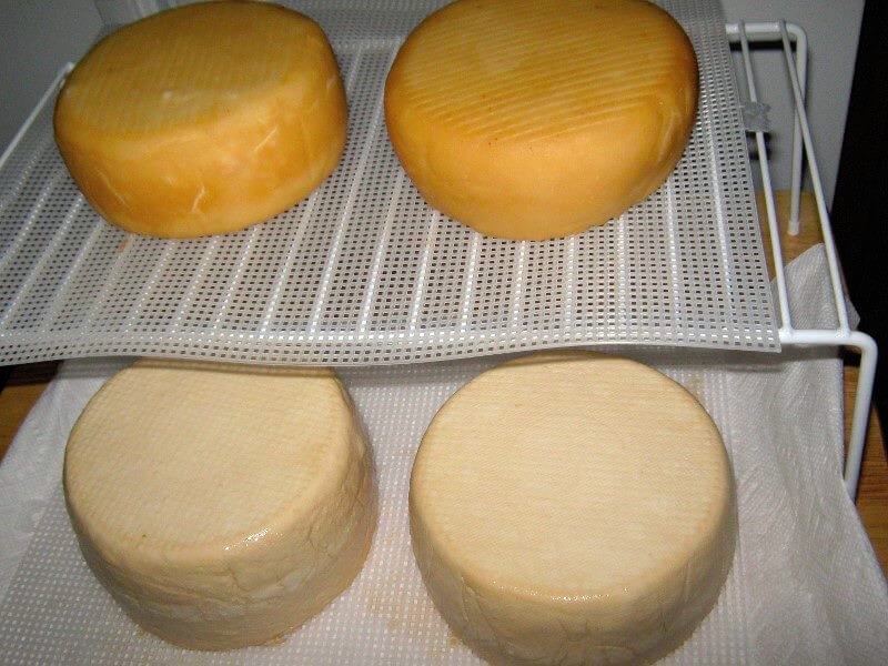 goat cheese made without rennet