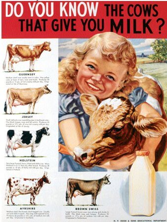 poster of girl hugging cow