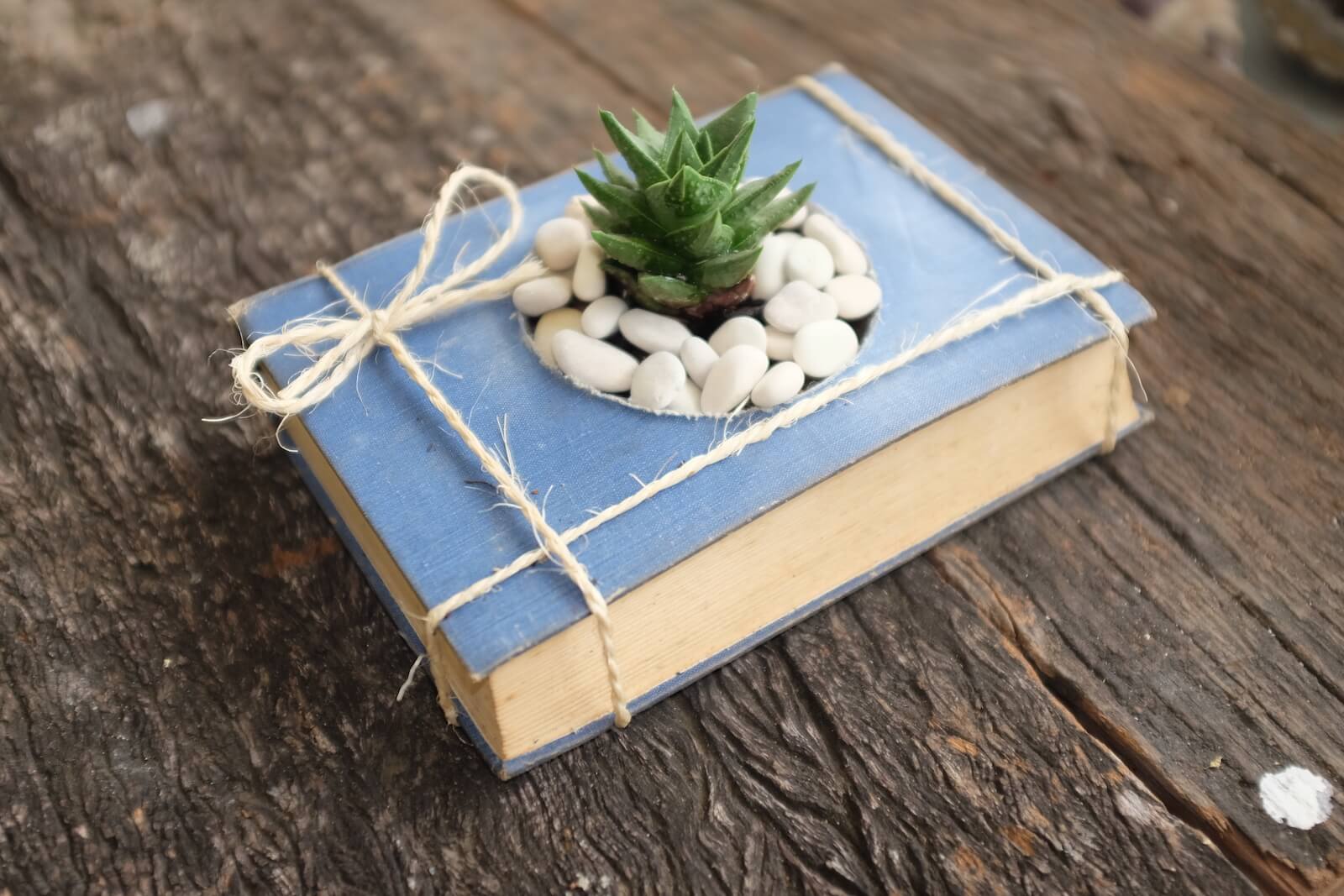a completed succulent planter made from a vintage book