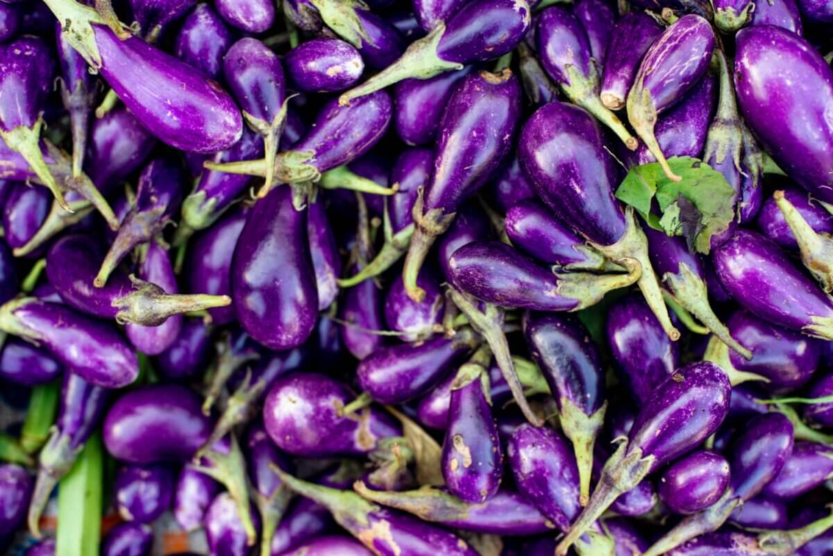 Companion Planting For Eggplant • Insteading