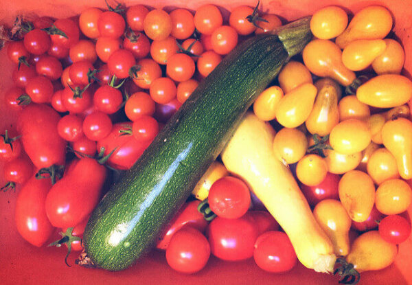 tomatoes and zucchini 