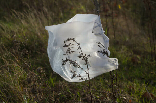 plastic bag blowing in the wind