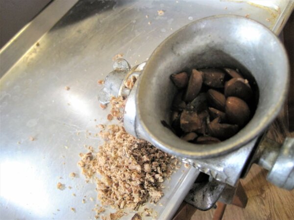 acorns in grinder
