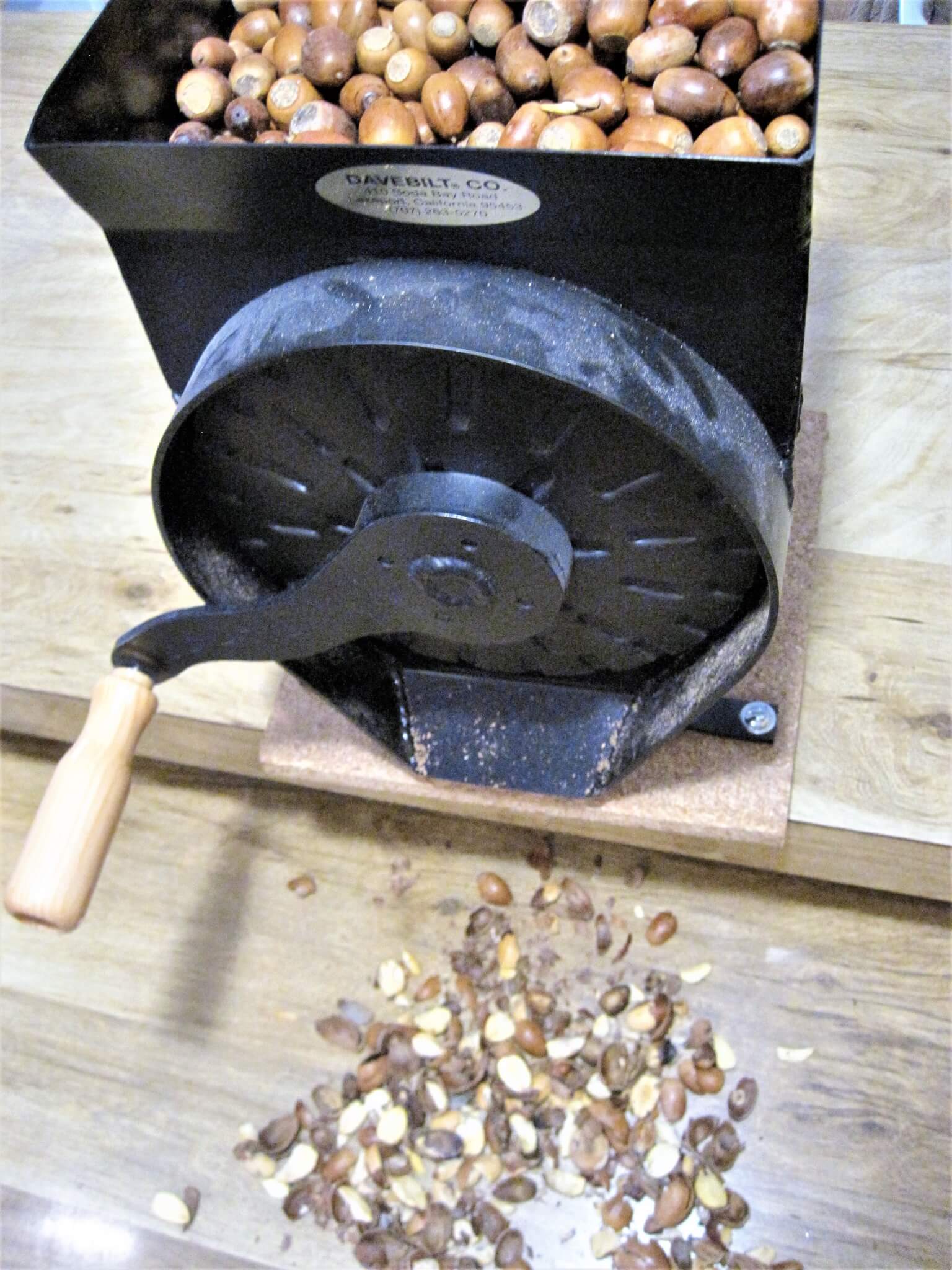 grinding acorns