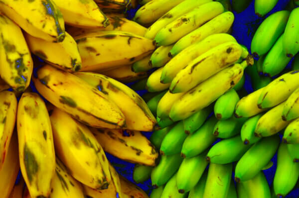 bananas and plantains