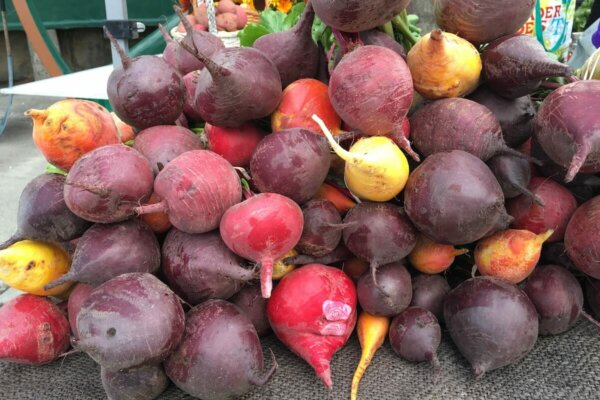 multi-colored beets stacked