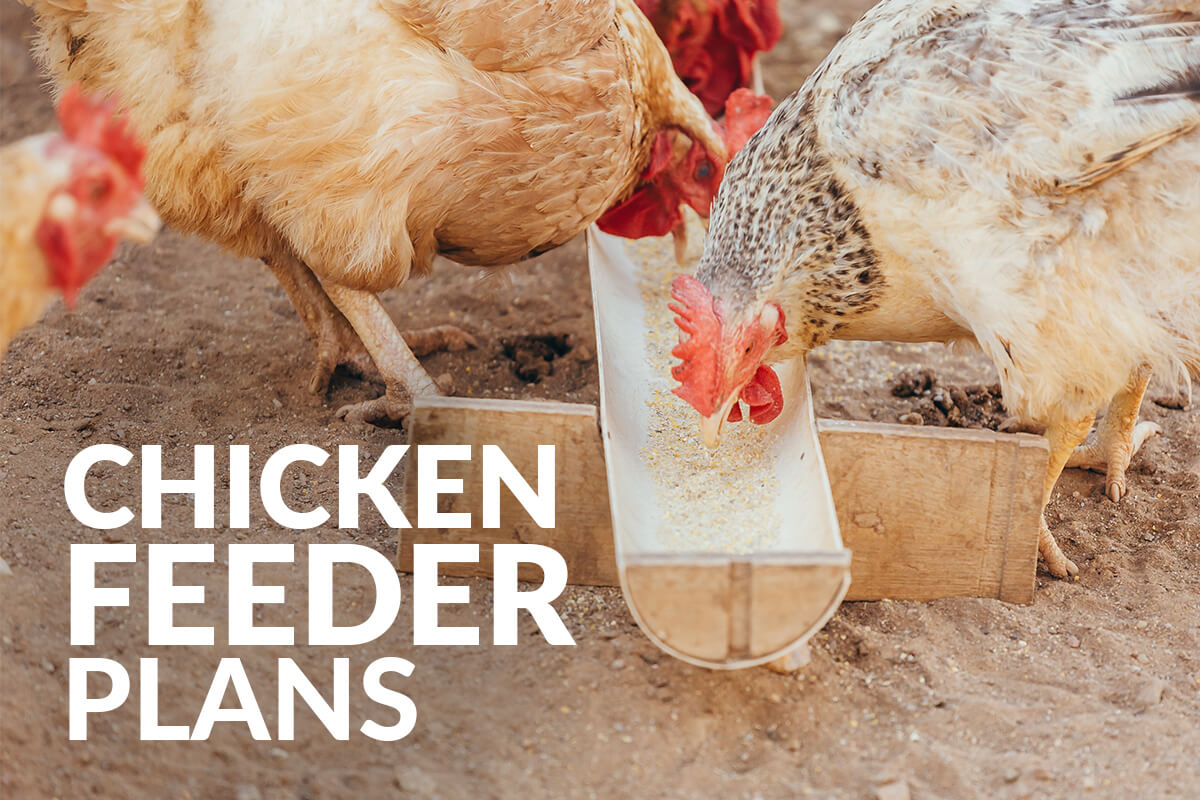 28 DIY Chicken Feeders * Insteading.