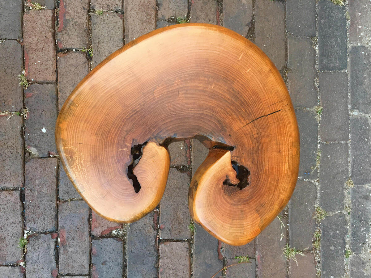 Curled Walnut Tree Stump Table