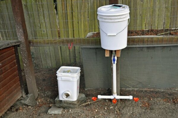 elevated pvc and 5 gallong bucket chicken feeder