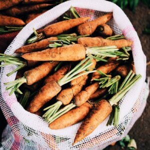 carrots in burlap bag