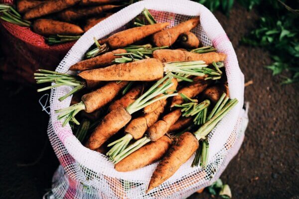 carrots in burlap bag