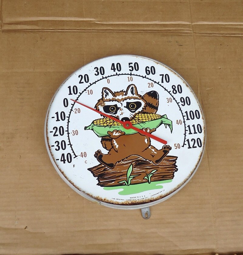 Vintage Raccoon Outdoor Thermometer