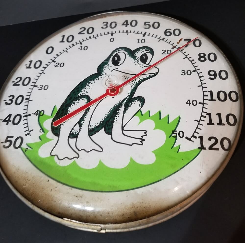 Vintage Round Frog Outdoor Thermometer