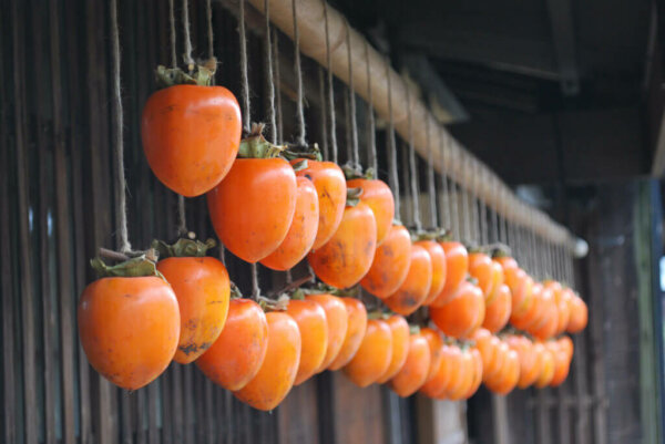 persimmons drying