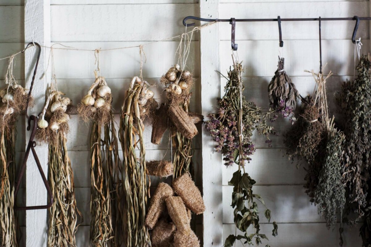 herbs drying