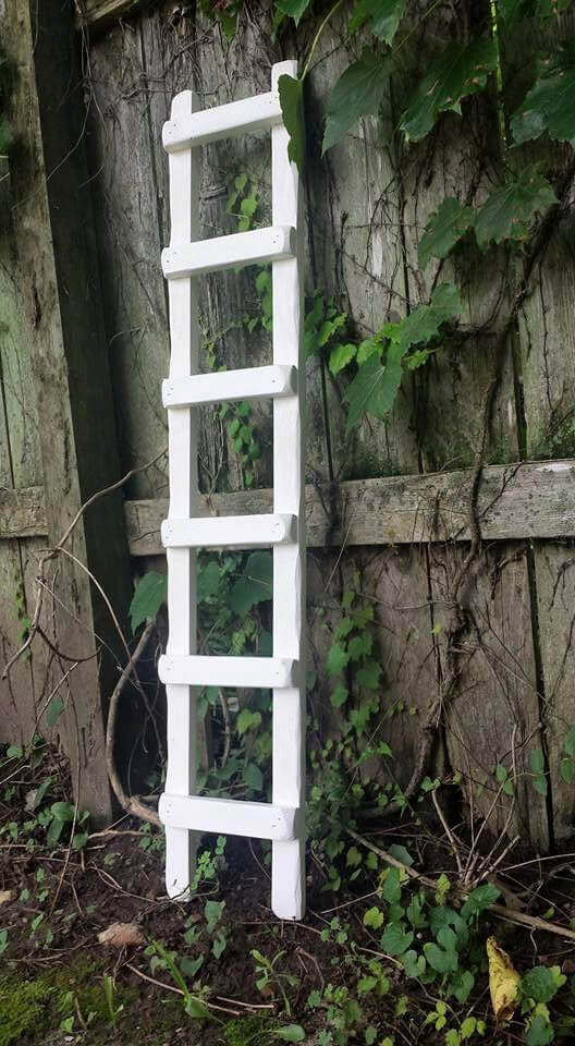 Traditional White Wooden Ladder Trellis