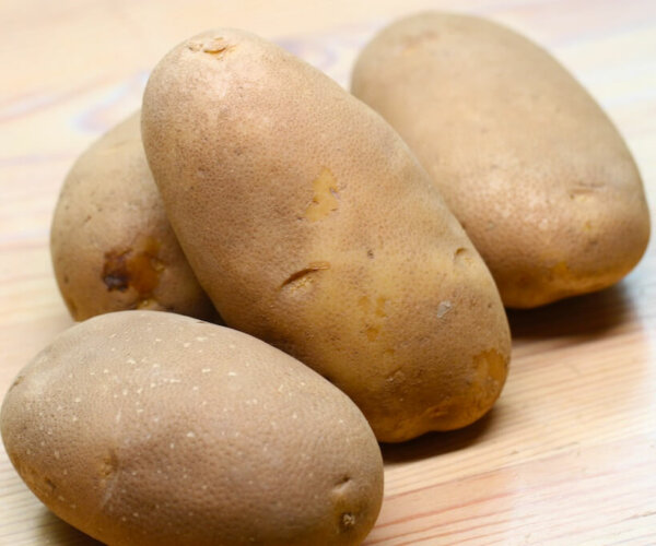 russet potatoes