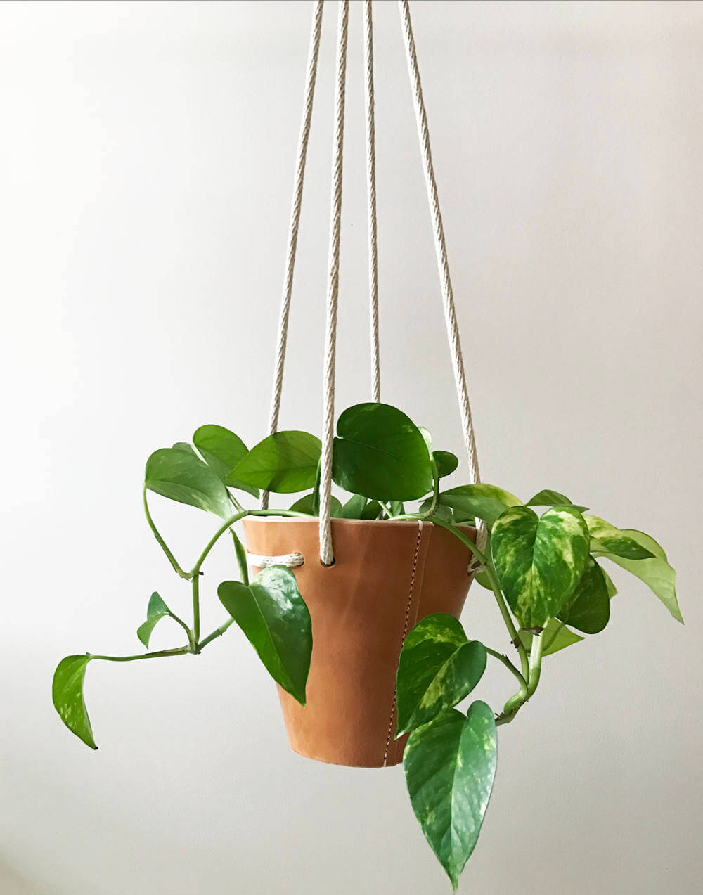 leather hanging planter