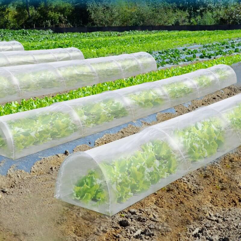 25 Small Greenhouses For Nearly Any Space 2x2 And Up Insteading - Portable Greenhouse For Vegetable Garden