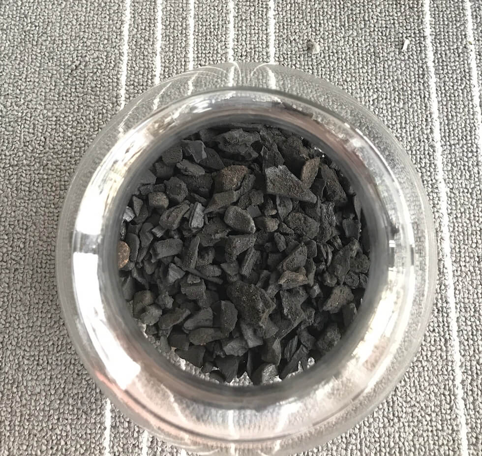 charcoal added to terrarium