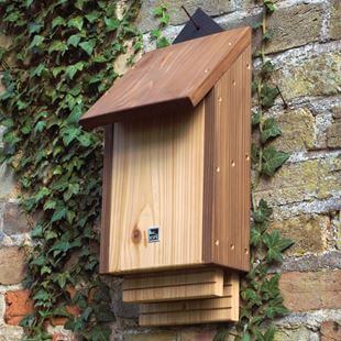 Birdhouse Bat House Plans