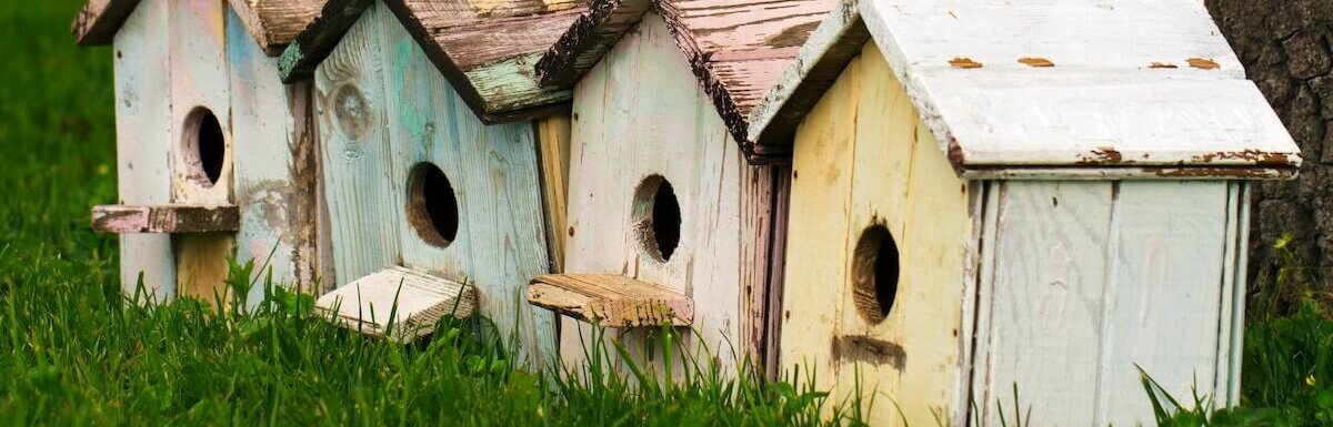 birdhouses in a row