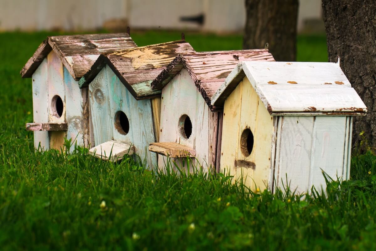 birdhouses in a row