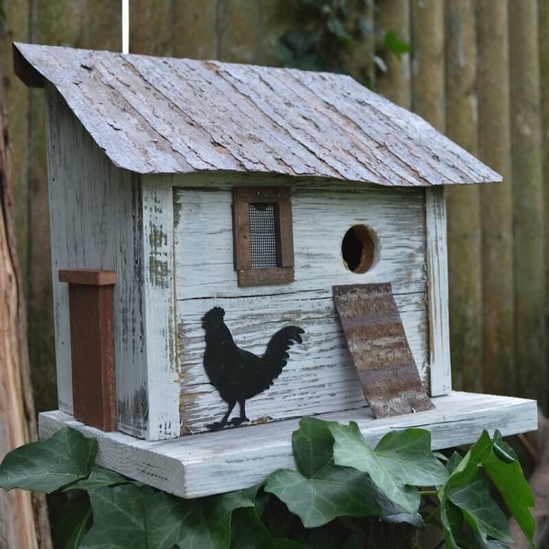 Chicken Coop Birdhouse