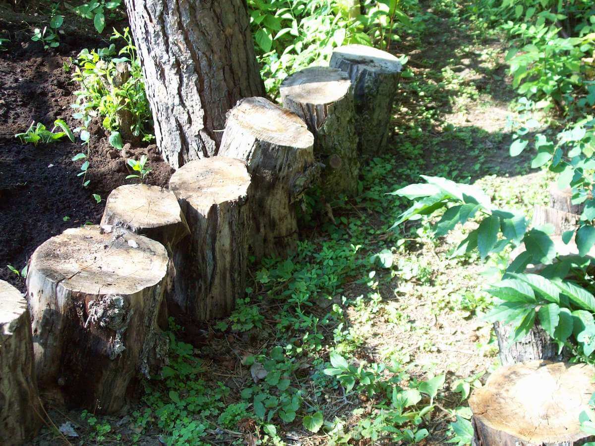 tree stump path edging