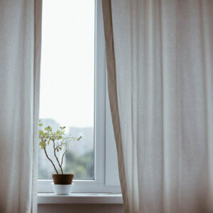curtains and plant