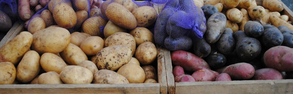 potatoes in bin