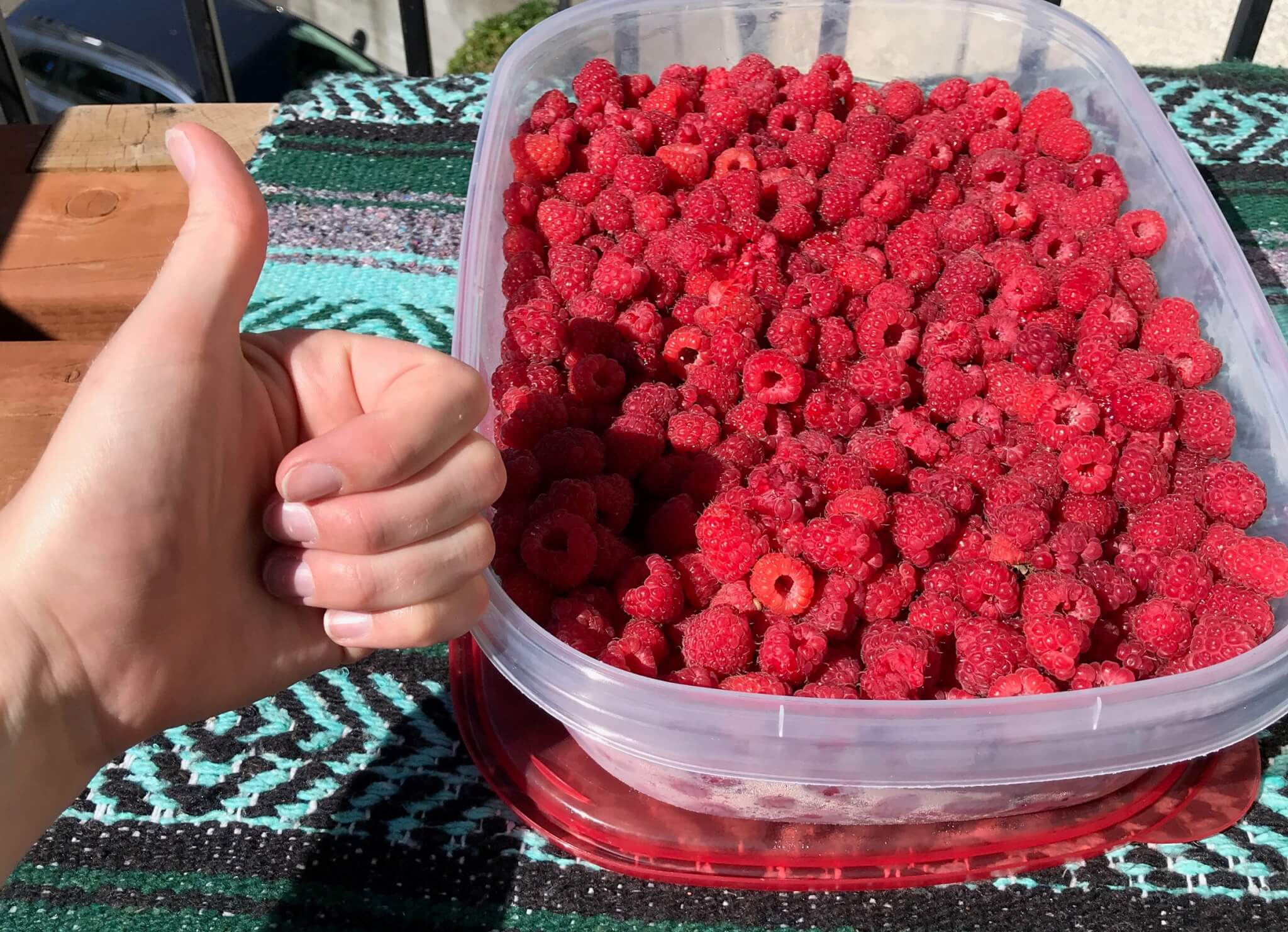 raspberries in container